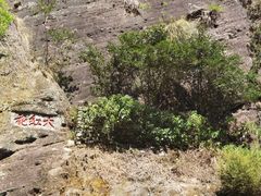 -九曲溪竹筏码头