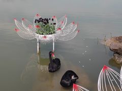 -荷兰花海