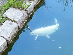 -三里河公园