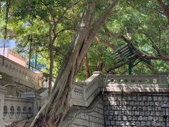 -香港佐治五世纪念公园