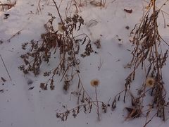 -帽儿山国家森林公园