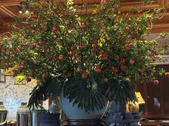 -八府香鸭·啫啫煲(华山路店)