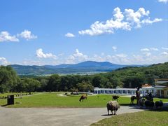 -森工平山皇家鹿苑景区