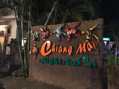 -清迈夜间动物园