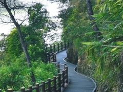 -羚羊峡古栈道森林公园