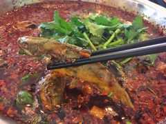 水煮黄辣丁-胖大姐黄辣丁鱼庄(新津店)