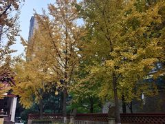 -万科·金域曲江