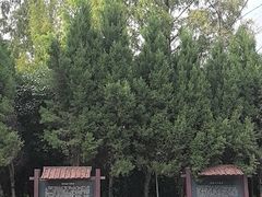 -郑和公园