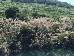 -缥缈峰景区
