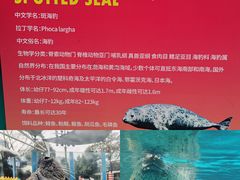 -海合安成都极地海洋公园