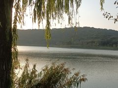 -羊山湖公园