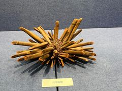 -大连自然博物馆