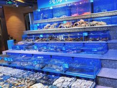 -青蓬蒸汽海鲜·深圳老字号·团建聚会(壹方城店)