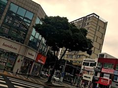 -宝健路步行街(Pedestrian Shopping Street)