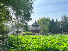 -莲池书院博物馆