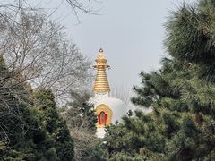 -护国法轮寺