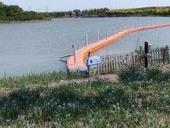 -天津东丽湖风景区