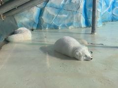 -哈尔滨热雪奇迹