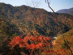 -燕子河大峡谷天坑仙境