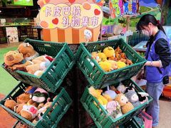 -正佳雨林生态植物园