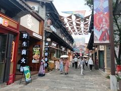 -云南民族村