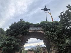 -牛背梁国家森林公园