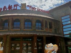 -上海野生动物园老虎餐厅