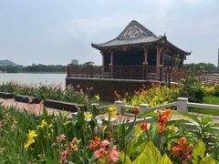 -顺峰山公园