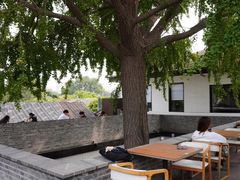 -自如ZSPACE四合院艺术餐厅