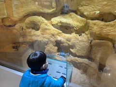 -上海昆虫博物馆