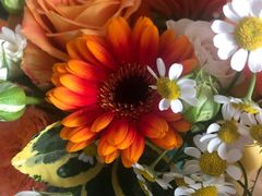 -UMe·玖觅(曲江店)