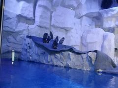 -华夏文旅海洋公园