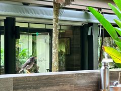 -植物园哈利亚餐厅