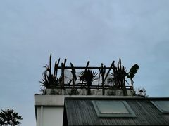 -悦哉·派对·草坪婚礼·围炉煮茶(三圣乡店)