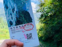 -石台牯牛降景区