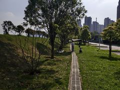 -洋湖国家湿地公园
