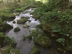 -成田山新胜寺