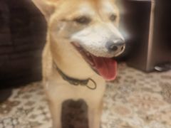 -22ºN BISTRO西餐&酒馆(石奥商业街店)