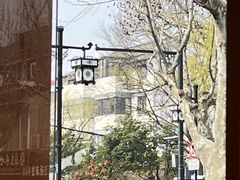 -CoCo都可(十全东店)