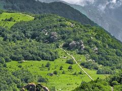 -白草畔自然风景区