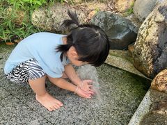 -八仙山公园
