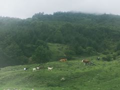 -硗碛藏寨·神木垒景区