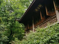 -十八棵（老龙井）御茶园(老龙井店)