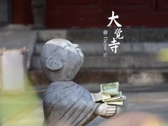 -大觉寺-停车场