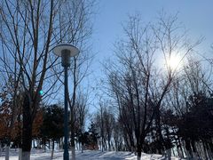 -莫子山公园