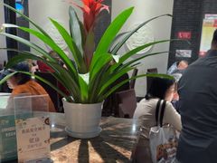 -松鹤楼(山塘街店)