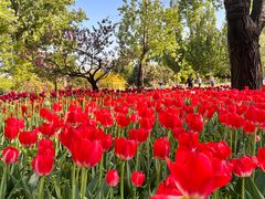 -国家植物园南园