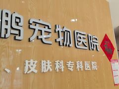 -瑞鹏宠物医院·眼科·皮肤·中兽医(大悦城分院)