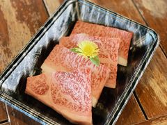 -南纪白浜Toretore市场