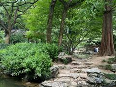 -杭州植物园